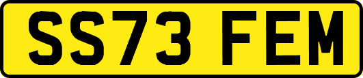 SS73FEM