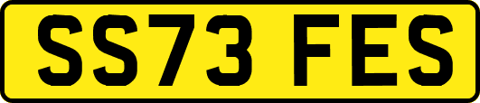 SS73FES