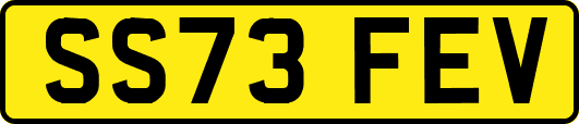 SS73FEV