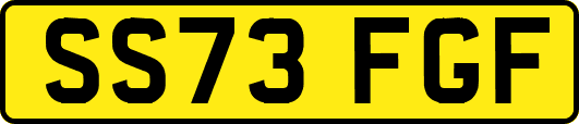 SS73FGF