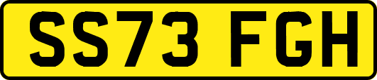 SS73FGH