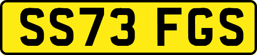 SS73FGS