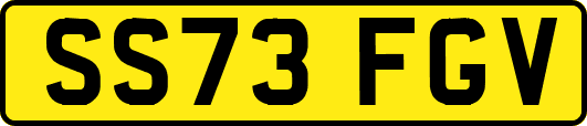 SS73FGV