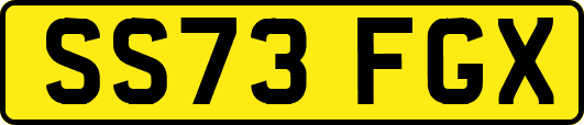 SS73FGX