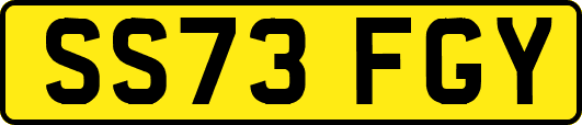 SS73FGY