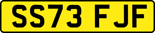 SS73FJF