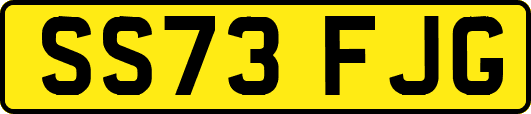 SS73FJG