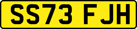 SS73FJH
