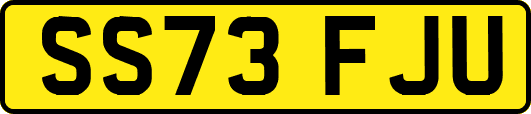 SS73FJU