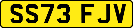 SS73FJV