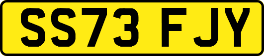 SS73FJY