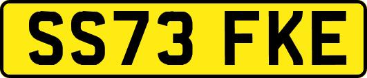SS73FKE