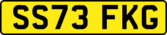 SS73FKG