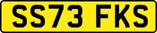 SS73FKS