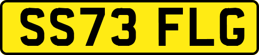 SS73FLG