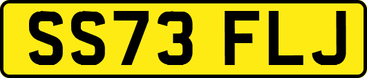 SS73FLJ