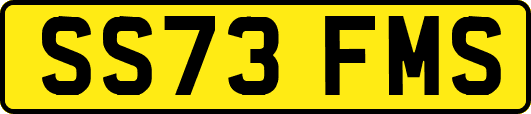 SS73FMS