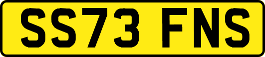 SS73FNS