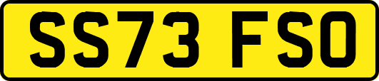 SS73FSO