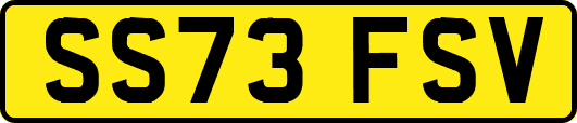 SS73FSV