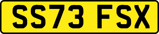 SS73FSX