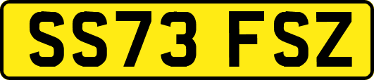 SS73FSZ