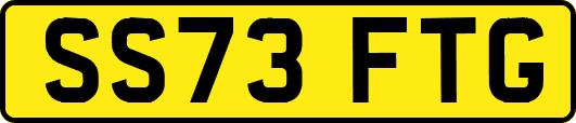 SS73FTG