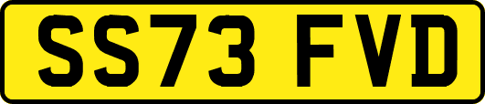 SS73FVD