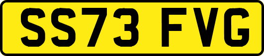 SS73FVG