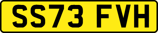 SS73FVH
