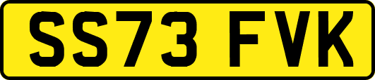 SS73FVK