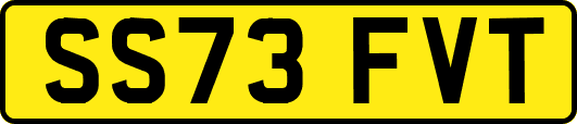SS73FVT