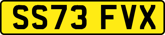 SS73FVX