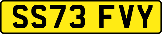 SS73FVY