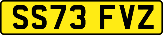 SS73FVZ