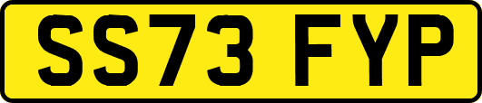 SS73FYP