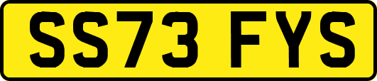 SS73FYS
