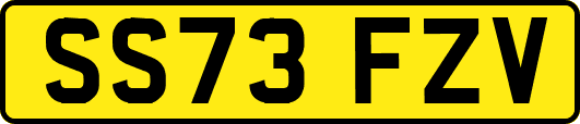 SS73FZV