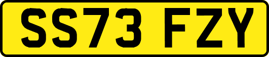 SS73FZY