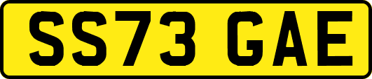 SS73GAE