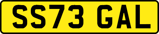SS73GAL