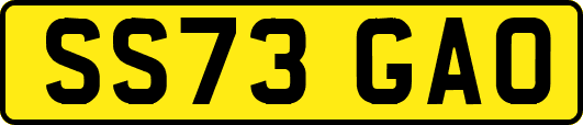 SS73GAO