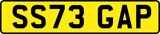 SS73GAP