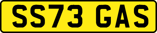 SS73GAS