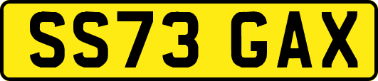 SS73GAX