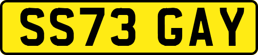 SS73GAY