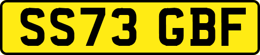 SS73GBF