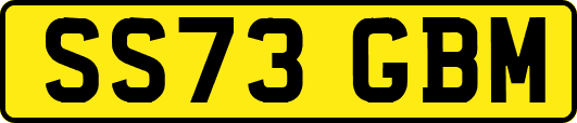 SS73GBM