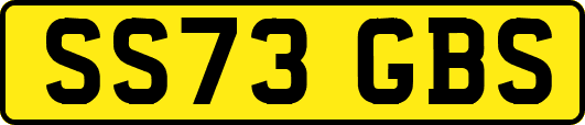 SS73GBS