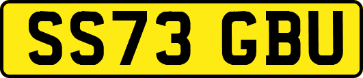 SS73GBU
